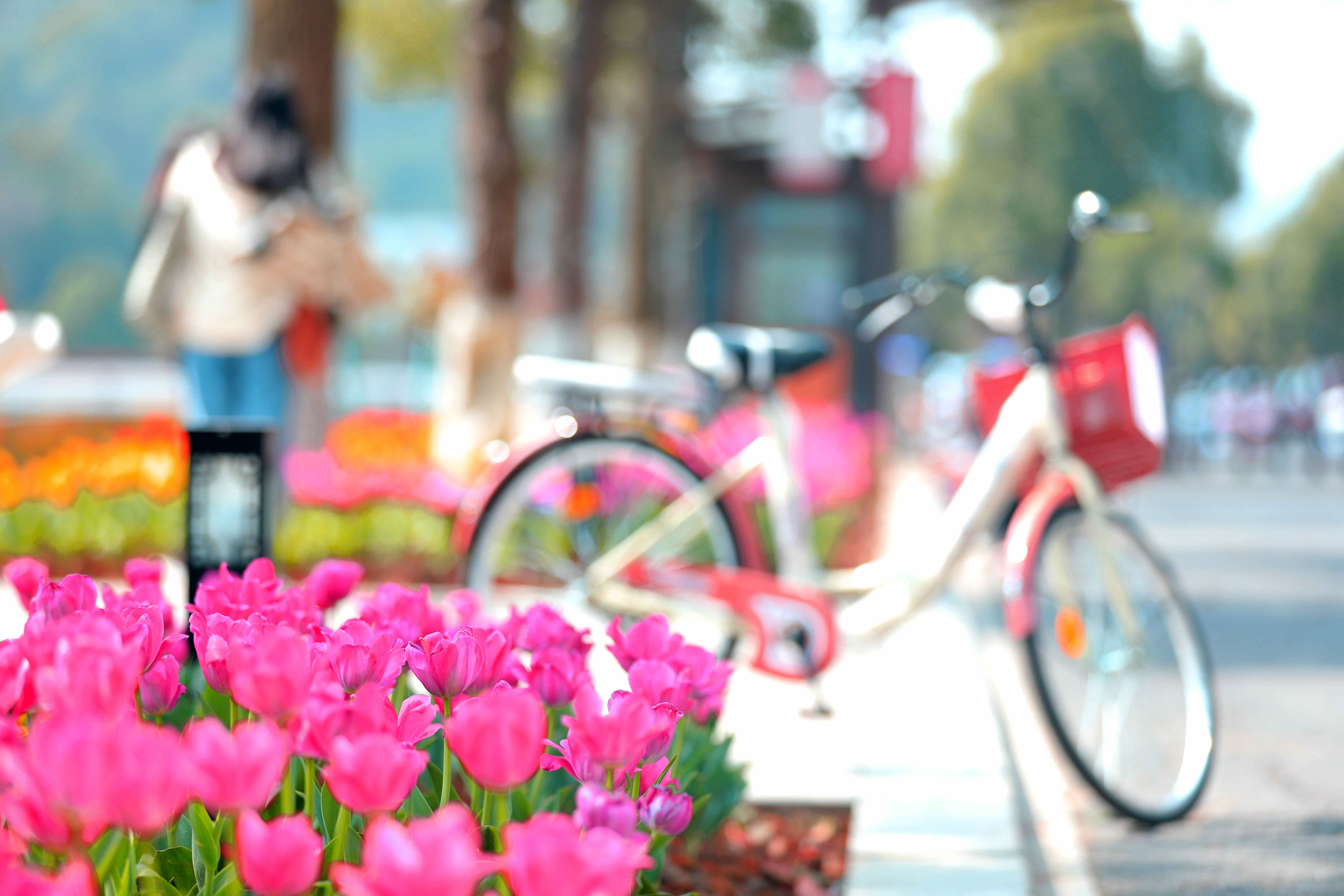 1648379311855884.jpg 1648379311855884.jpg