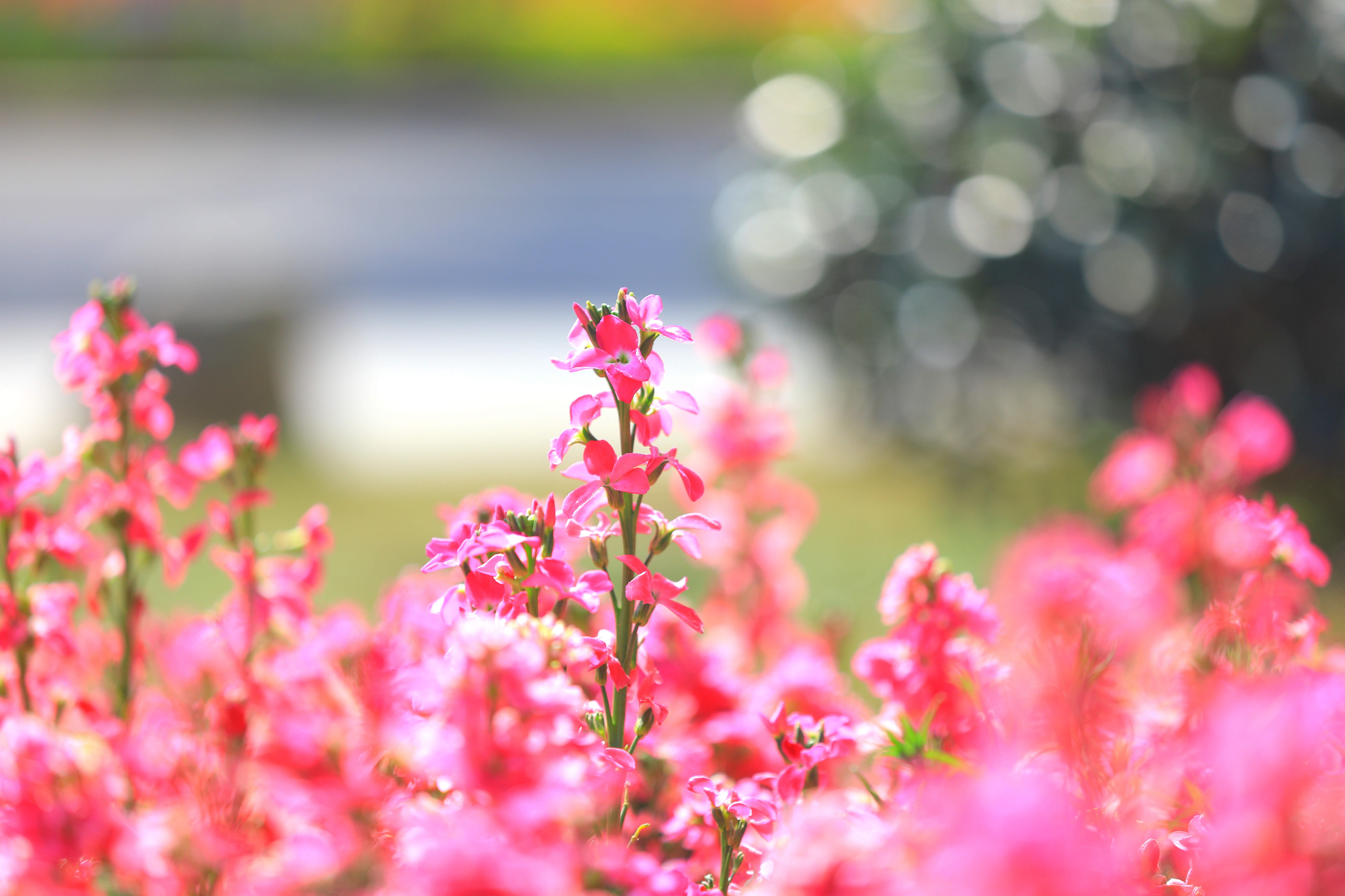 1648379181758160.jpg 1648379181758160.jpg