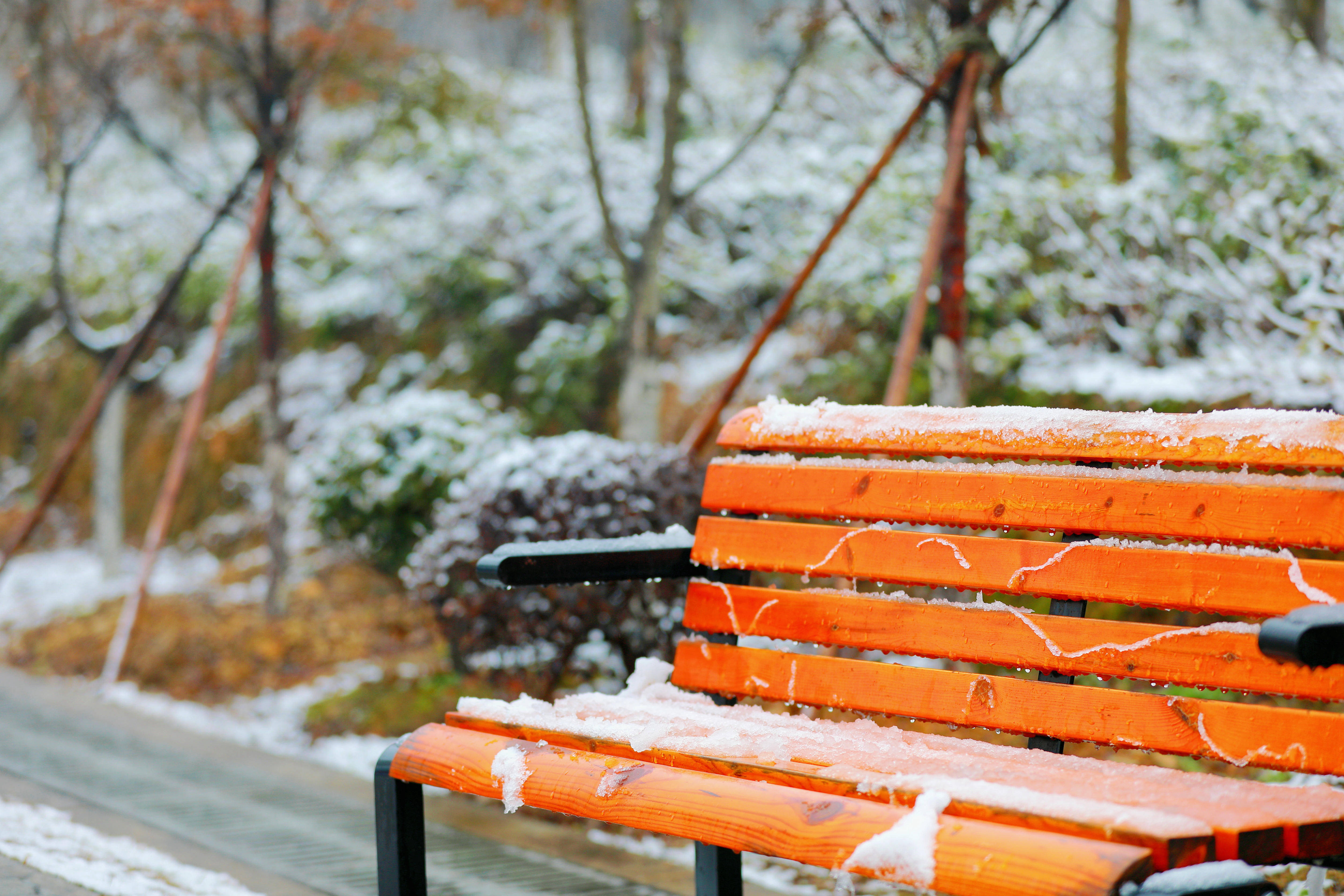 1648381884315688.jpg 1648381884315688.jpg