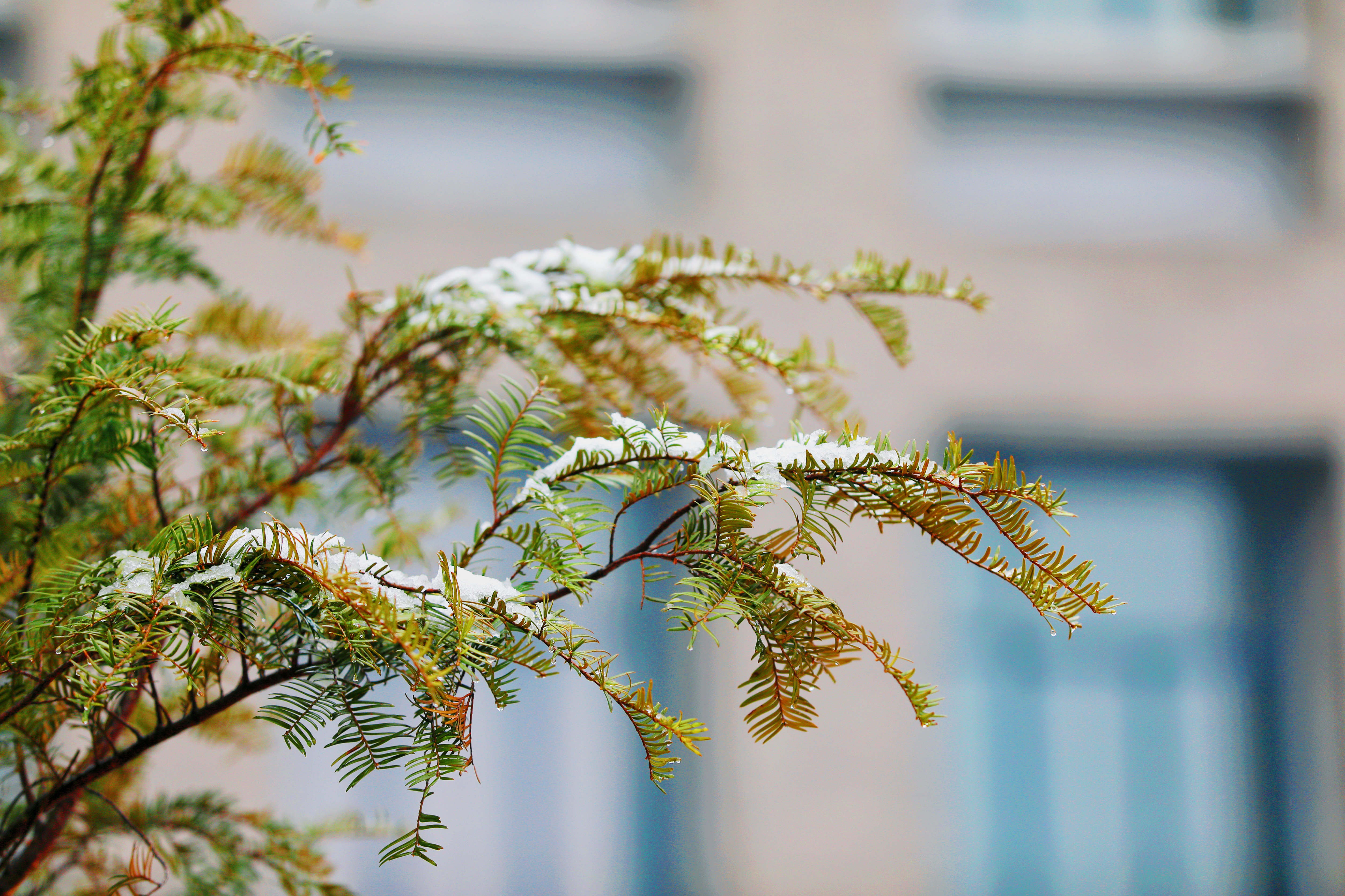 1648381917314807.jpg 1648381917314807.jpg