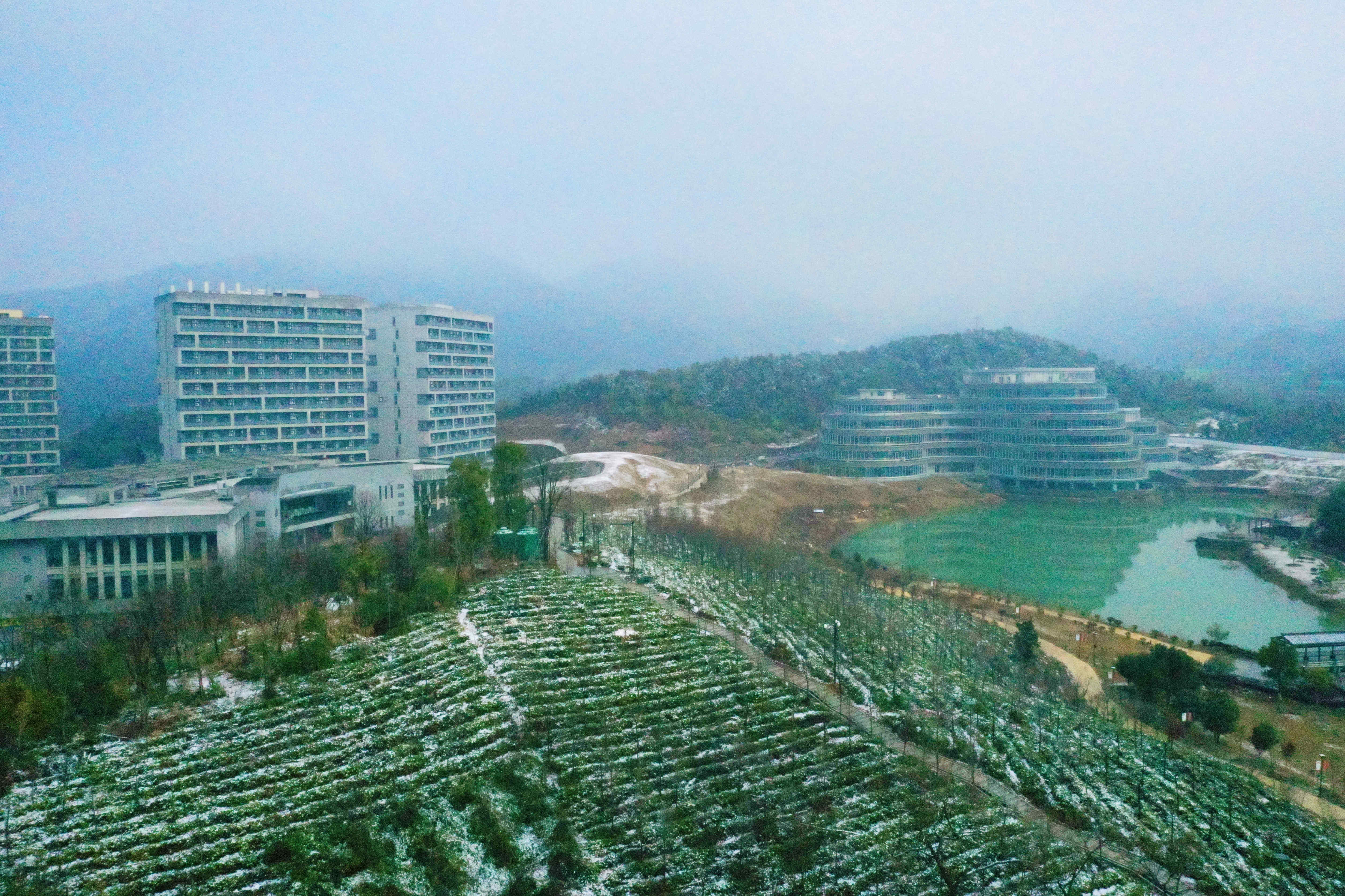 1648381952570216.jpg 1648381952570216.jpg