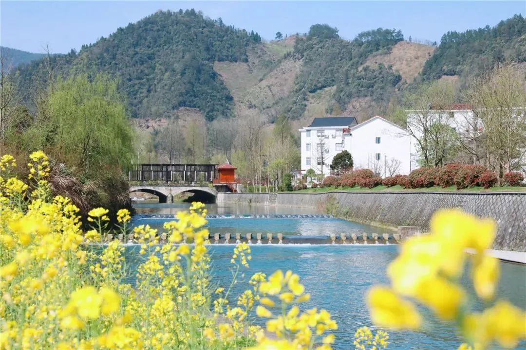 1648879422486117.jpg 1648879422486117.jpg