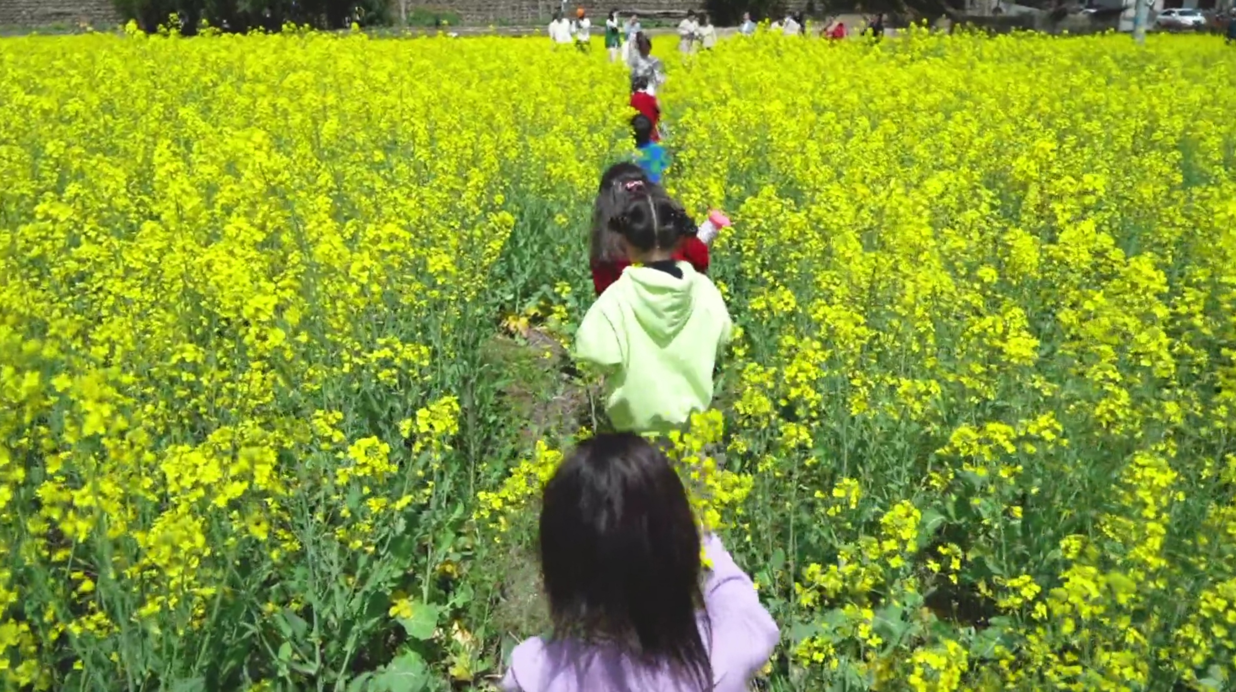 1648880953416954.jpg 1648880953416954.jpg