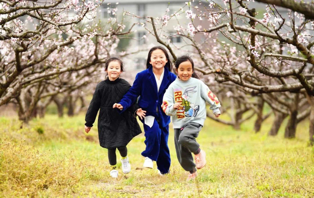 1648881157947061.jpg 1648881157947061.jpg