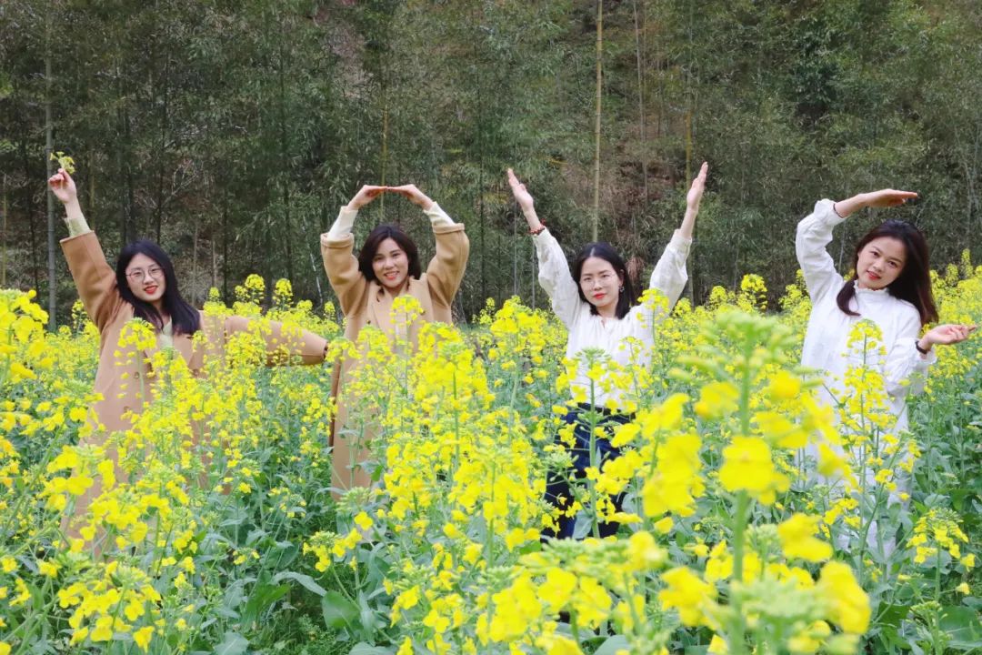 1648879454557333.jpg 1648879454557333.jpg