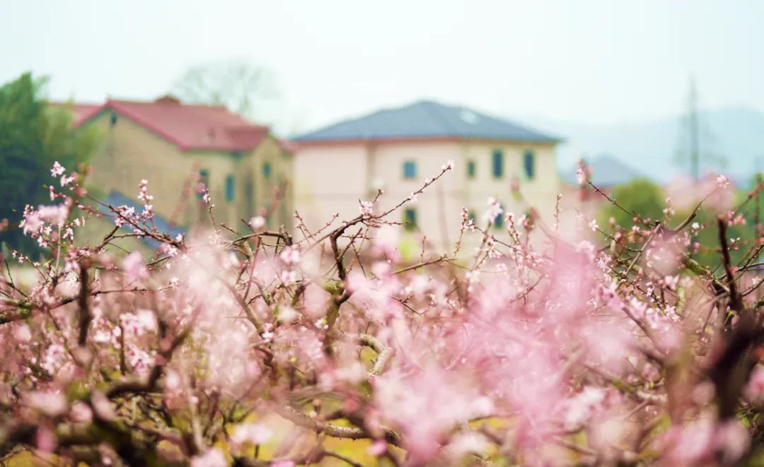 1648881149552688.jpg 1648881149552688.jpg