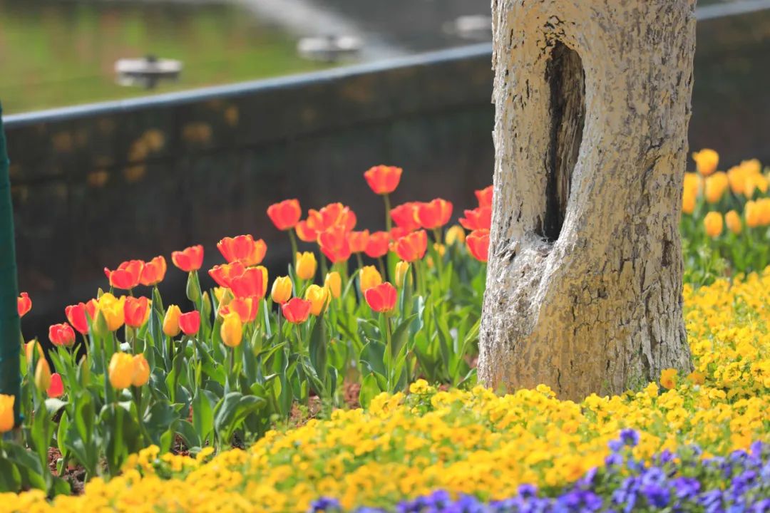 1648881417640591.jpg 1648881417640591.jpg