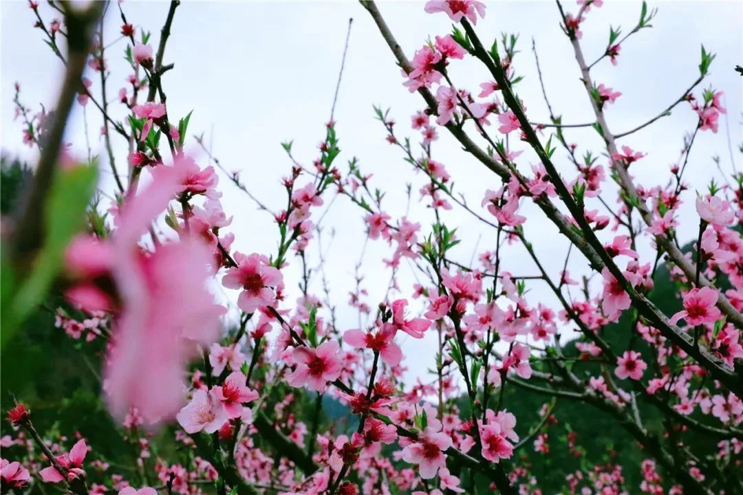 1648881270374831.jpg 1648881270374831.jpg